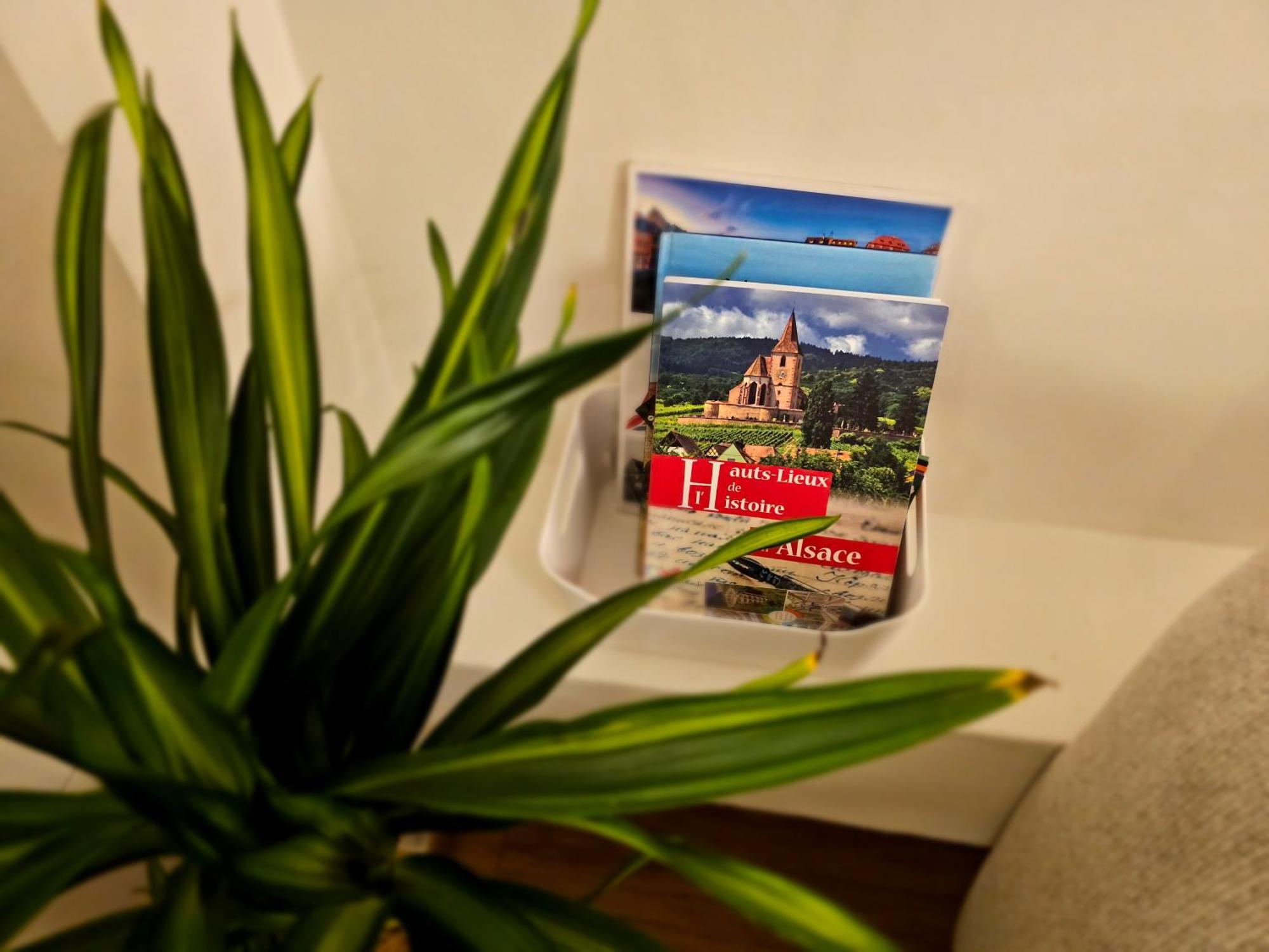Apartamento Confort Proche Gare Et Centre-ville Estrasburgo